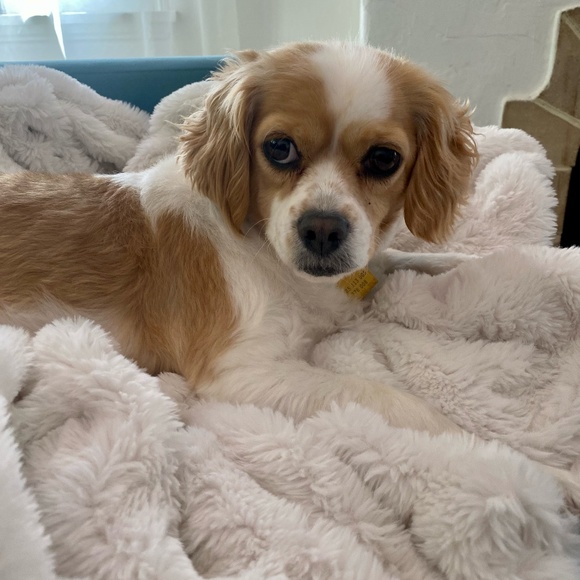 Meet your Posher, Kelly - Picture 1 of 1